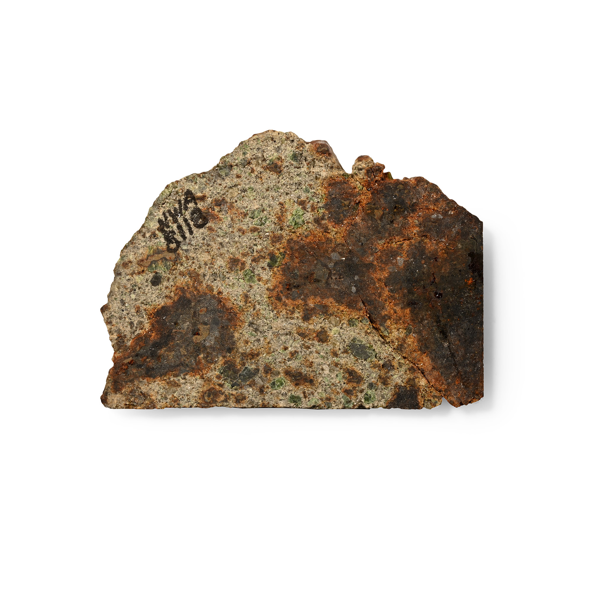 Natural History - Lodranite NWA 8118 Meteorite Slice